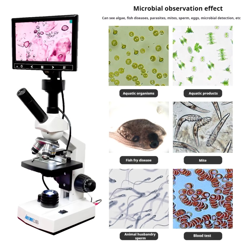 WEIAI 7 inç Dijital Mikroskopl - Digital Microscope incelemesi ve fiyatı