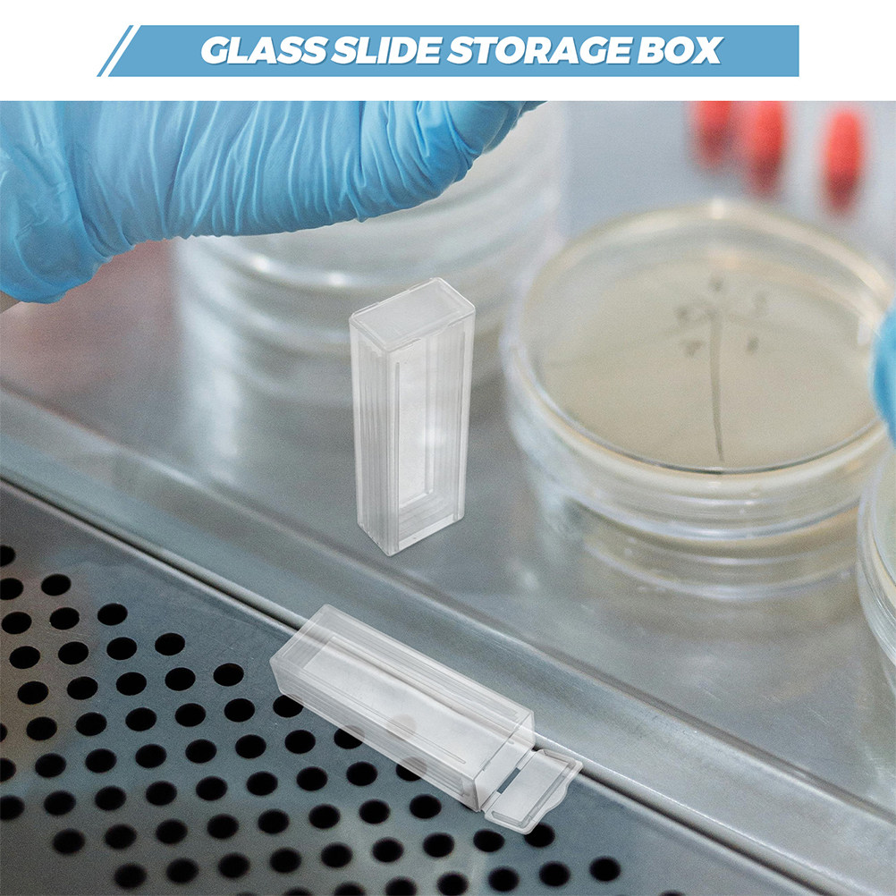 6 Adet Mikroskop Lamı İçin Pla - Pathology Slide Storage incelemesi ve fiyatı