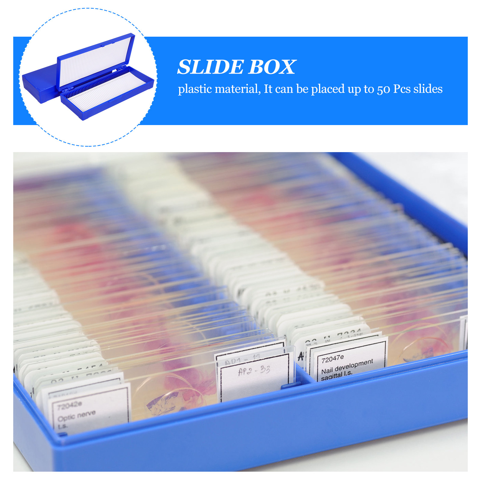 50 Mikroskop Lamı için 2 Adet  - Pathology Slide Storage incelemesi ve fiyatı