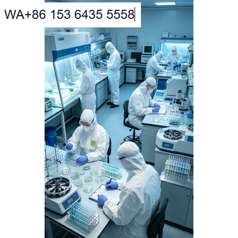 Tip 5 6 Tek Kullanımlık Tyvek  - Medical Lab Center incelemesi ve fiyatı