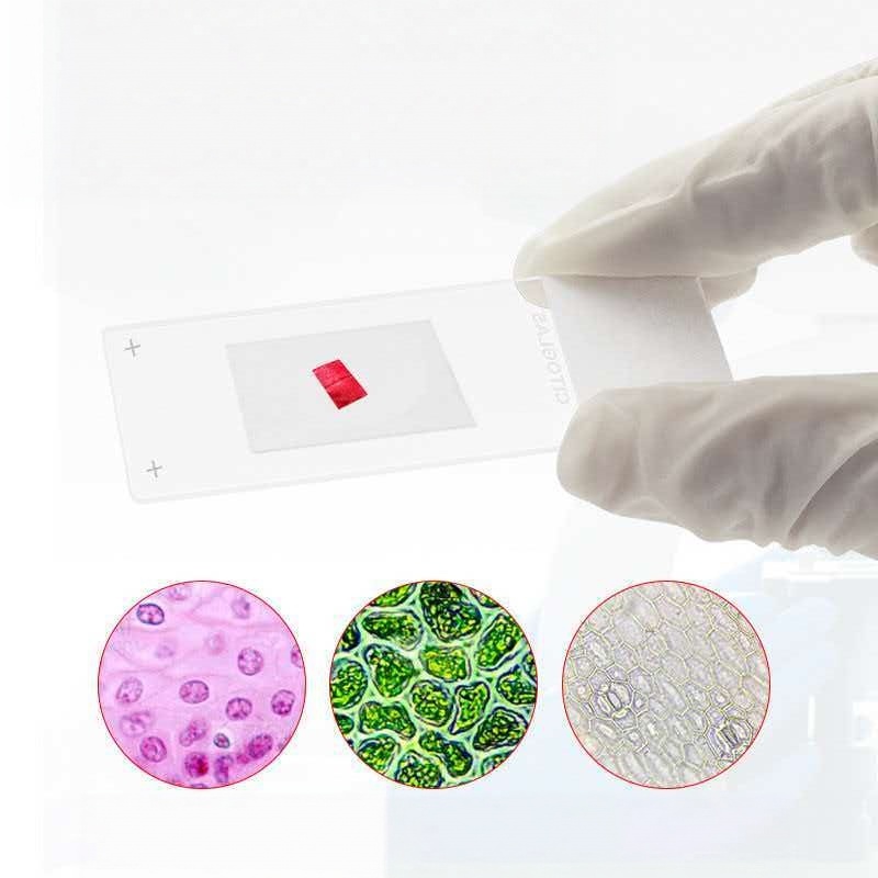 Citotest 50 adet Yapışkanlı Mi - Pathology Slide Storage incelemesi ve fiyatı